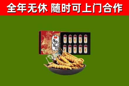 定襄烟酒回收冬虫夏草礼盒.jpg